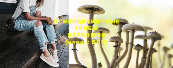 прущая мука Абинск