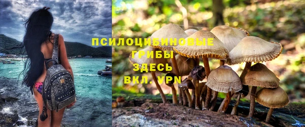 МДПВ Абдулино